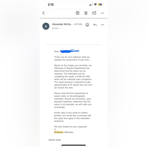 Alexander McQueen knuckle Clutch (Update Please read Description) - Picture 10 of 10